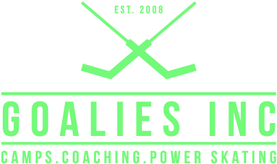 goalie camp wisconsin, goalie camp michigan, hockey camp wisconsin, hockey camp michigan, hockey training michigan, hockey training wisconsin