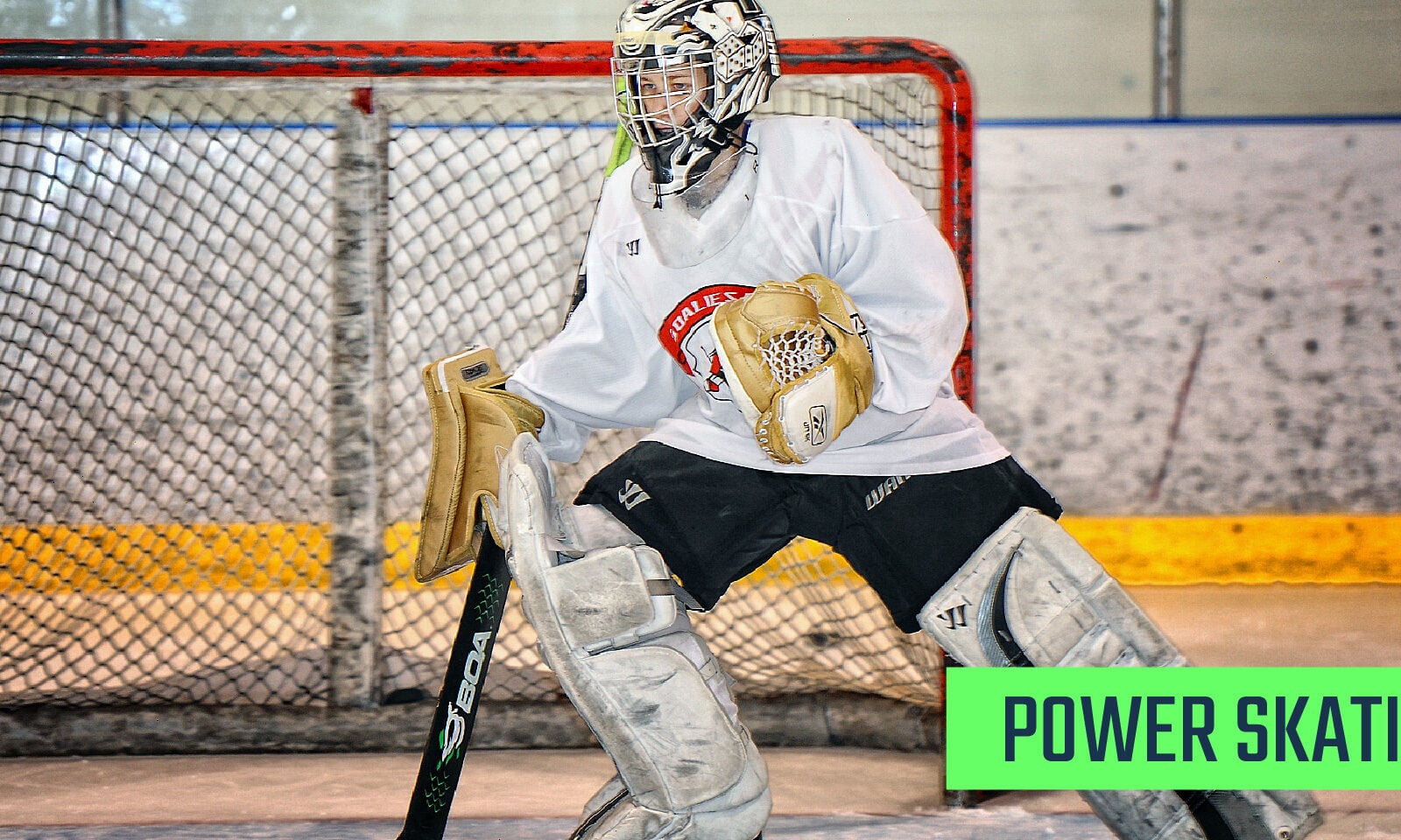 goalie camp wisconsin, goalie camp michigan, hockey camp wisconsin, hockey camp michigan, hockey training michigan, hockey training wisconsin, goalie camp, hockey goalie, hockey goalie camp, hockey goalie training, goalie training, hockey training,
